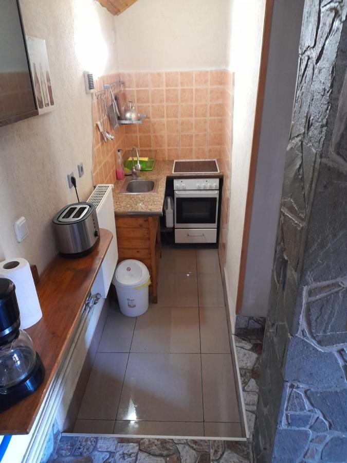 Casa Gabriela Villa Sinaia Bagian luar foto