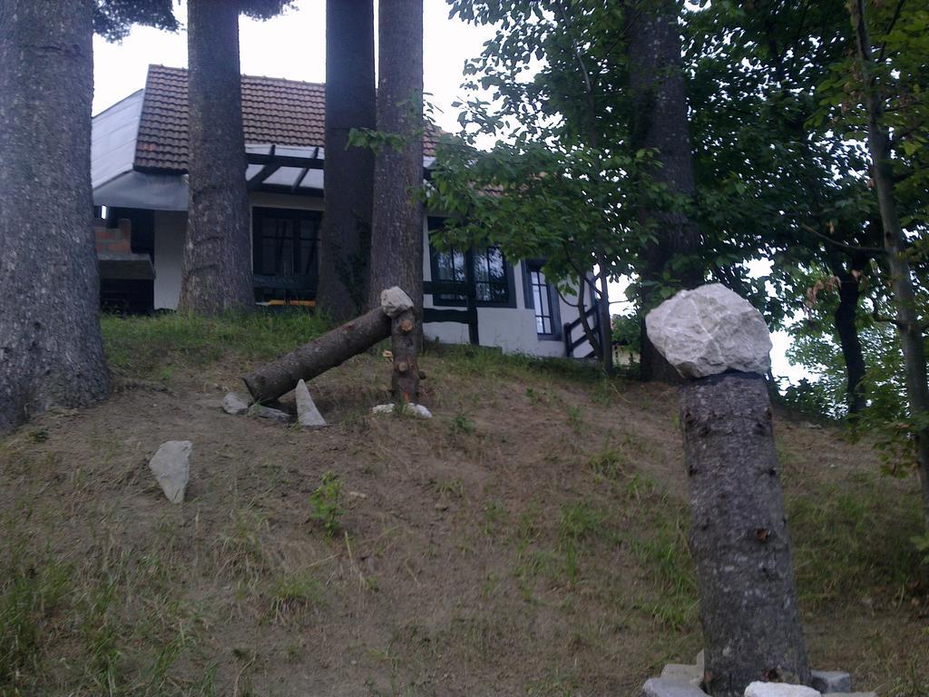Casa Gabriela Villa Sinaia Ruang foto