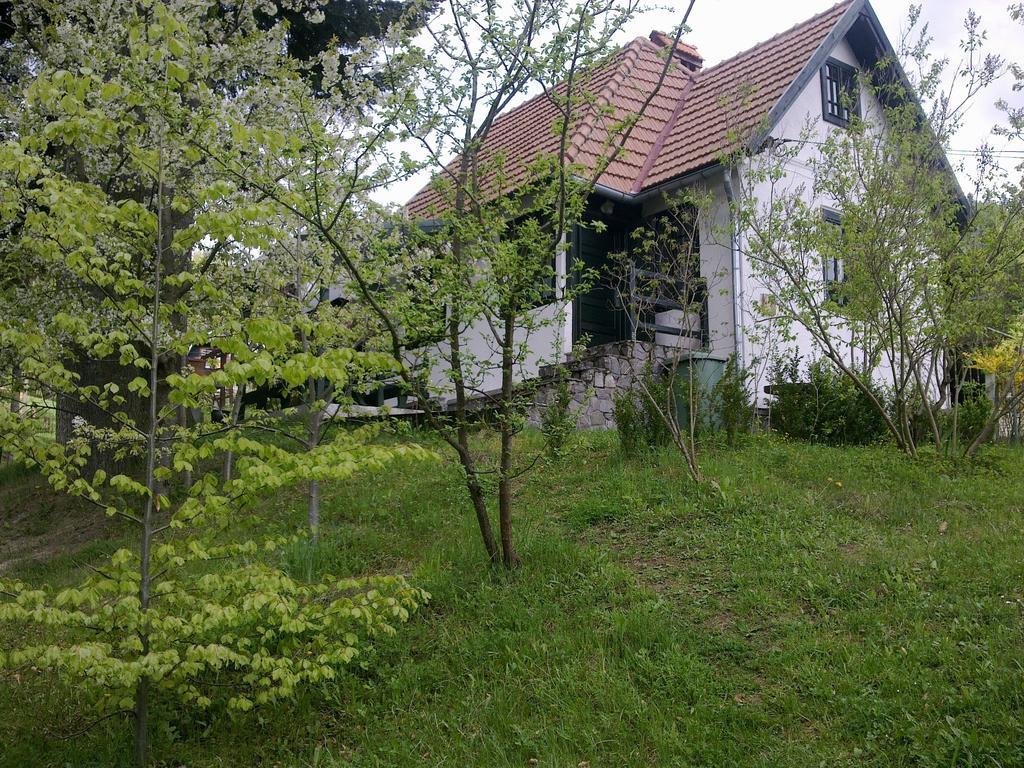 Casa Gabriela Villa Sinaia Ruang foto