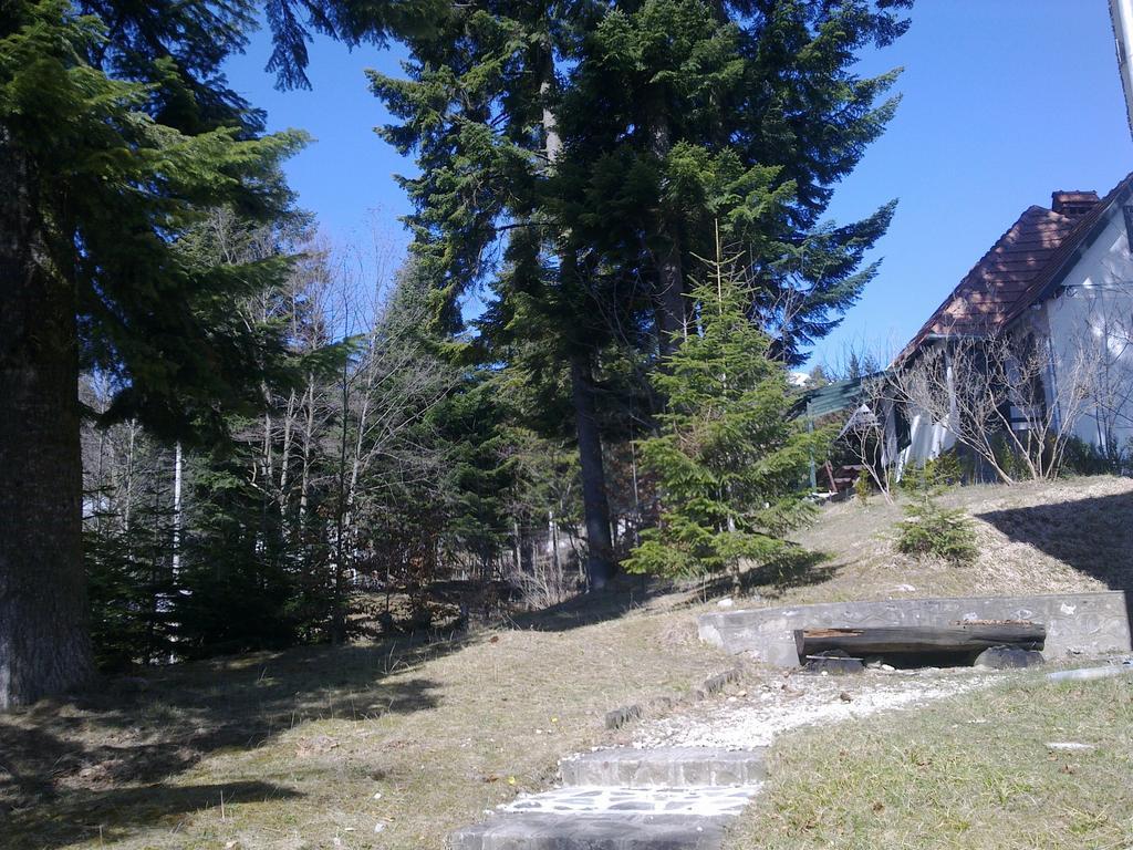Casa Gabriela Villa Sinaia Ruang foto