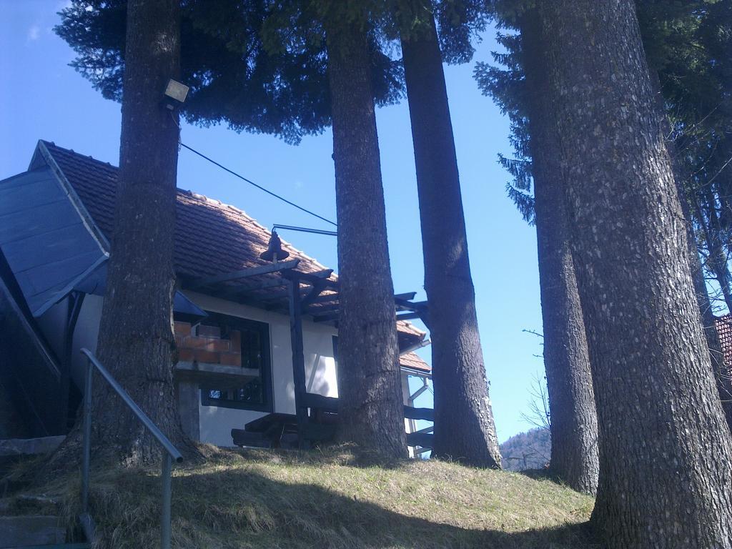 Casa Gabriela Villa Sinaia Ruang foto