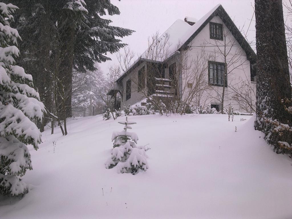 Casa Gabriela Villa Sinaia Ruang foto