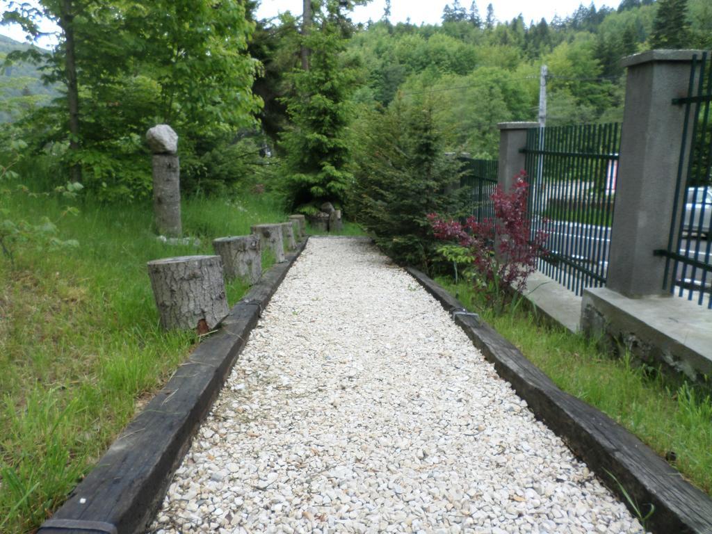 Casa Gabriela Villa Sinaia Bagian luar foto